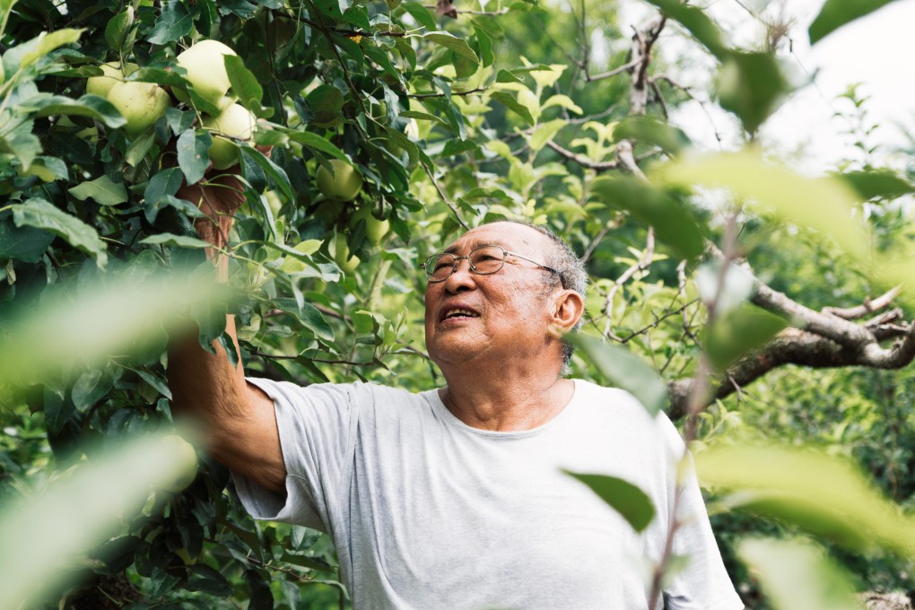 An elderly man picks fruit. Vigorous physical activity, the correct diet, a positive attitude and having enough sleep will extend your life, studies show. Photo: Getty Images