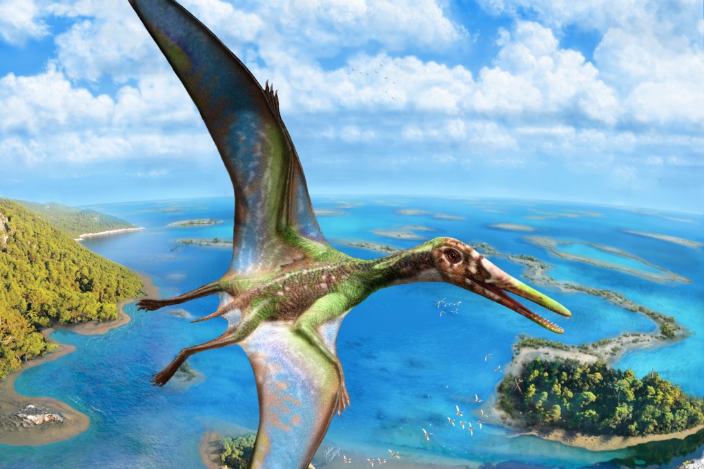 Pterosaur reptiles were the first vertebrates to take to the air. Image: Julius Csotonyi