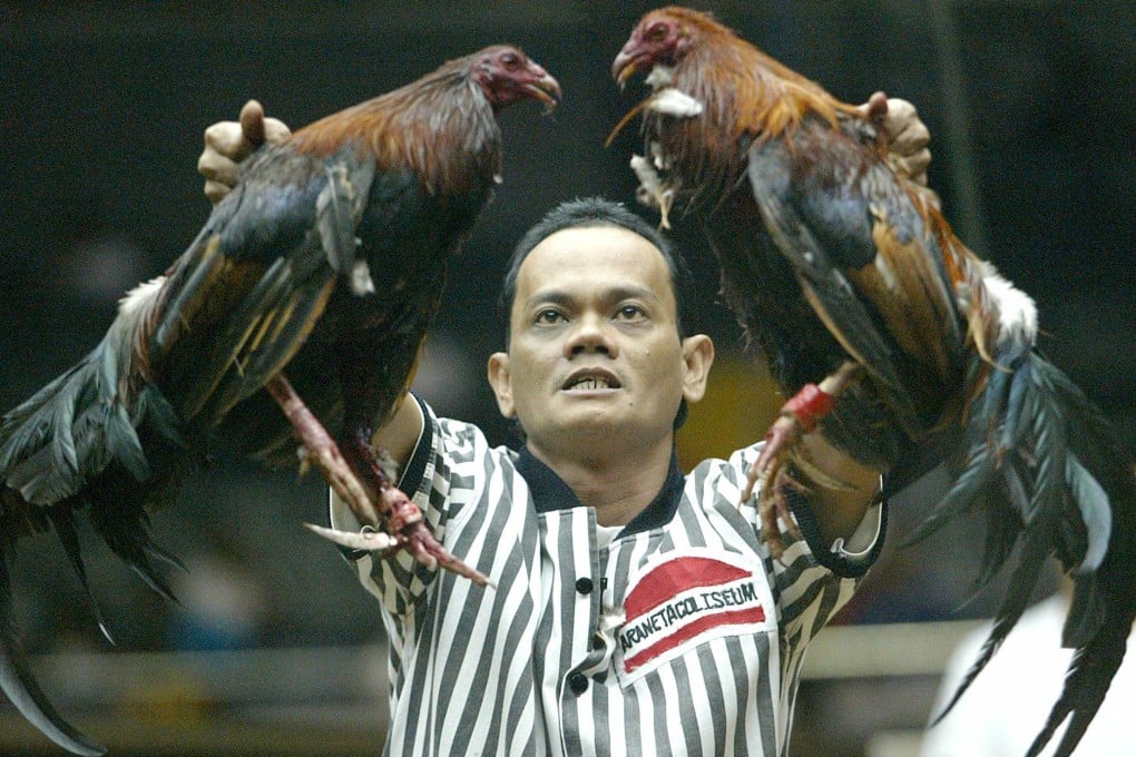 Sabong Grandmaster