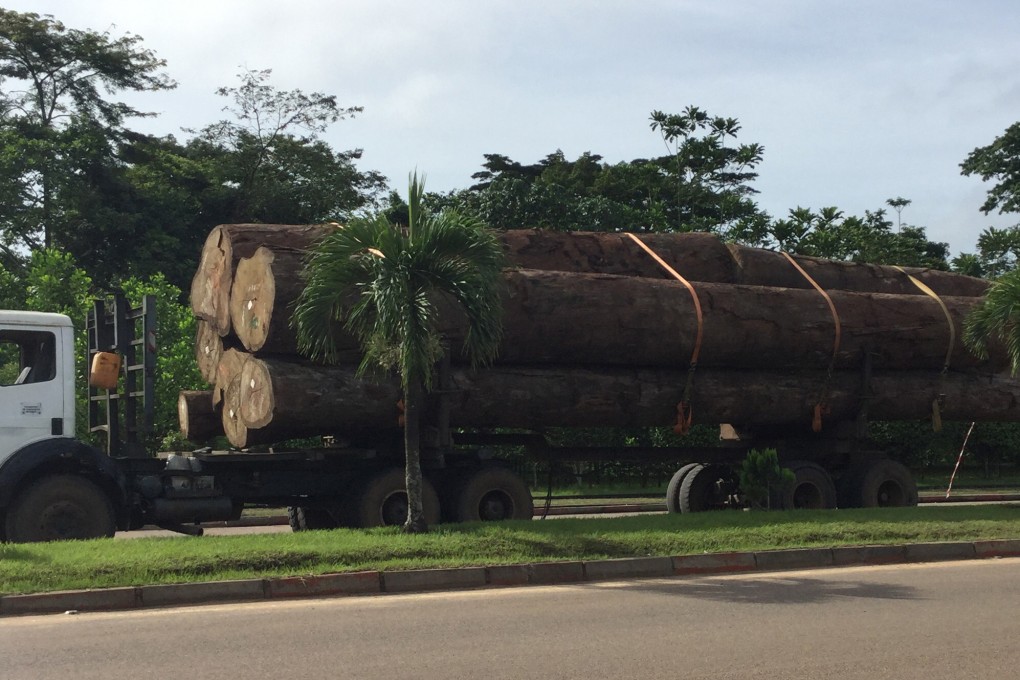 About a dozen Chinese companies own forest concessions in Gabon, with more than 30 others processing the wood Photo: Jevans Nyabiage