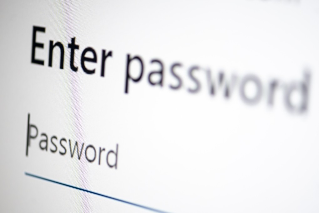 Screen of a laptop requesting a password. Photo: Photo: dpa via Getty Images