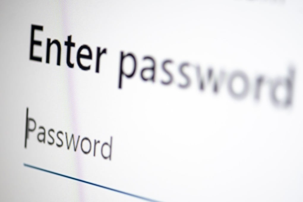 Screen of a laptop requesting a password. Photo: Photo: dpa via Getty Images