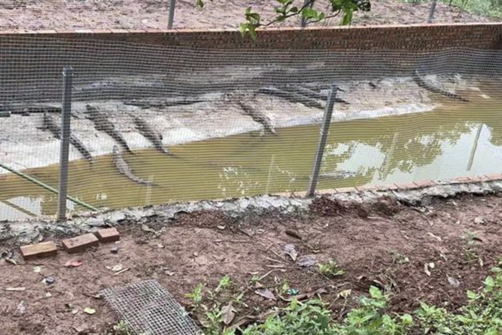 Six crocodiles escaped from this pen in China after heavy rains. Photo: 163.com