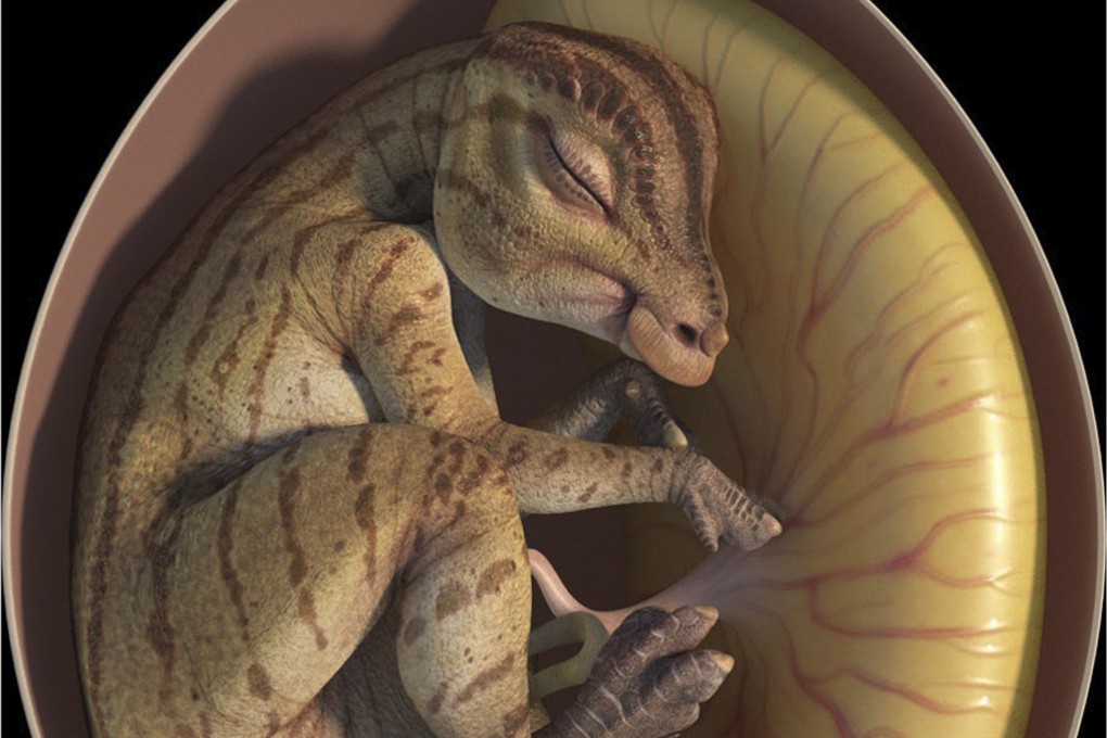 An artist rendition of the fetus of a duck-billed dinosaur found in eastern China. Photo: BMC Ecology and Evolution