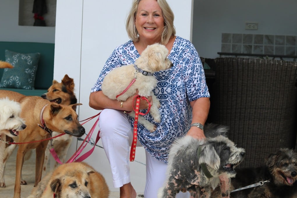 Susan Field is an ex-Hong Kong resident who ran the PR company ImpactAsia. She now lives in Thailand, with eight rescue dogs. Photo: Thomas Bird