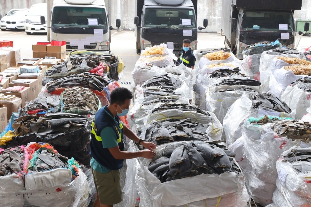 Almost 10 tonnes of shark fin worth HK$10 million (US$1.3 million) were seized by Hong Kong customs in October 2021 as part of a record HK$210 million haul of luxury goods destined for the mainland. Continued demand for shark fin has helped drive overfishing that has left Hong Kong’s waters nearly bereft of sharks. Photo: Dickson Lee