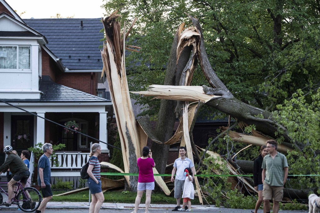 A tree that was destroyed during a major storm in Ottawa, Canada, on Saturday. Photo: AP