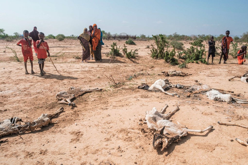 Climate change means that the extreme heatwaves of today will become more common. Photo: AFP