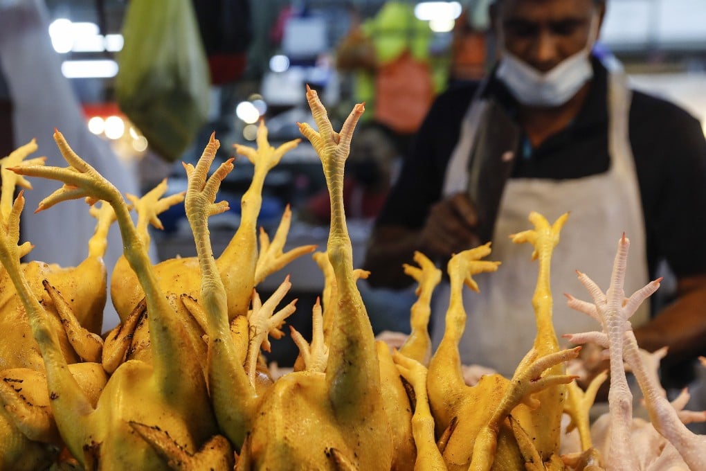 Singapore is worried about a shortage of chickens after Malaysia banned exports. . Photo: EPA-EFE