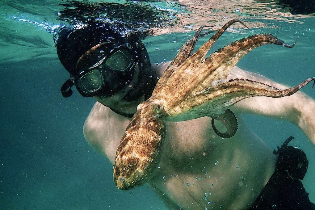South African filmmaker and Sea Change Project founder Craig Foster in a still from the Netflix documentary My Octopus Teacher. Photo: Netflix