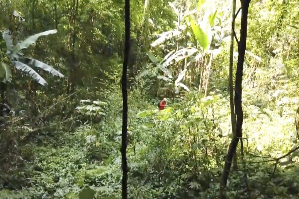 The recently discovered sinkhole in Guangxi Zhuang autonomous region contains a pristine forest. Photo: CGTN