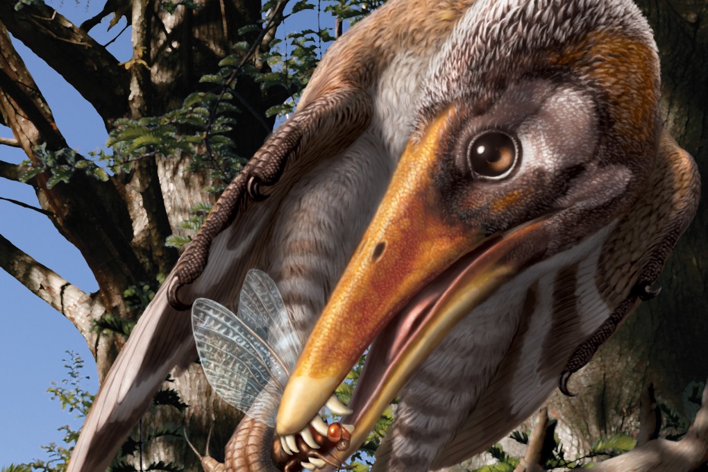 An artistic rendition of a Longipteryx, which is seen eating a mayfly. Photo: The Chinese University of Hong Kong