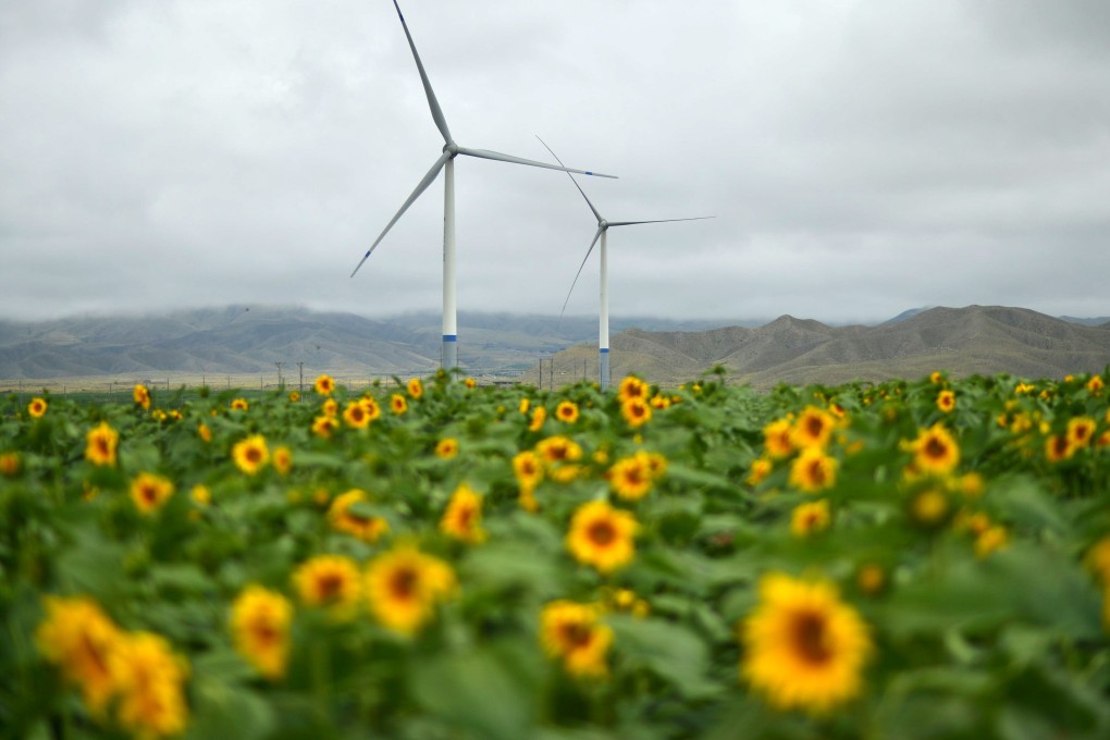Wind turbines rise above a field of sunflowers in China’s Gansu province. More and more young people want to invest in climate change mitigation. Photo: Xinhua