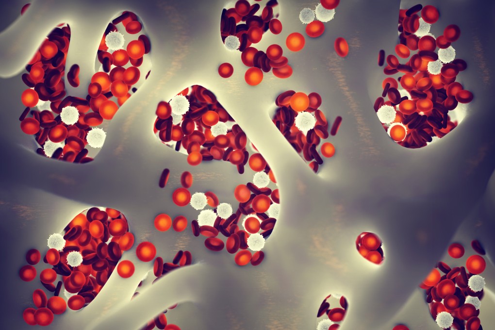 Chinese authors of a new study said rejuvenation effects in old mice were caused by the activation of aged HSPCs rather than relocation of young HSPCs into the bone marrow. Photo: Shutterstock Images