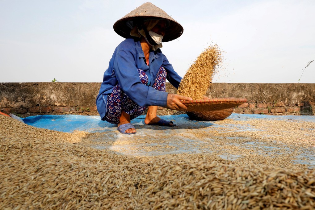 A farmer harvests rice by a paddy field outside Hanoi, Vietnam. A pact between Thailand and Vietnam to raise rice prices would be “impossible”, a top Thai industry official said on Monday. Photo: Reuters