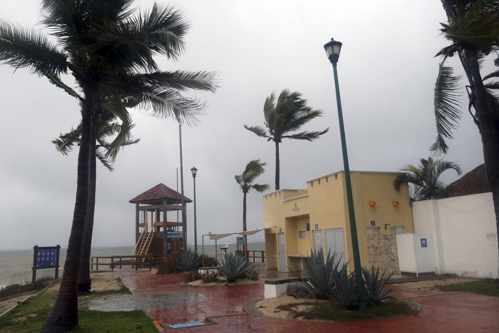 Palm trees blow in the wind before Hurricane Agatha makes landfall in Huatulco, Oaxaca State, Mexico on Monday. Photo: AFP via Getty Images / TNS