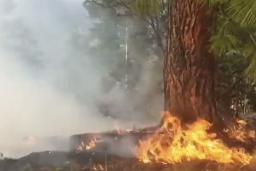 China will “help Afghanistan within its capacity” after Kabul appealed for help to extinguish a forest fire in Nuristan province. Photo: Handout