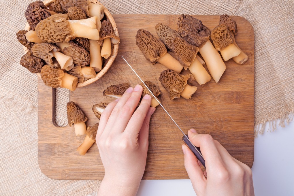 Morel mushrooms are bursting with savoury flavour, and full of amino acids and antioxidants, and are loved by chefs and cooks. 
Photo: Shutterstock