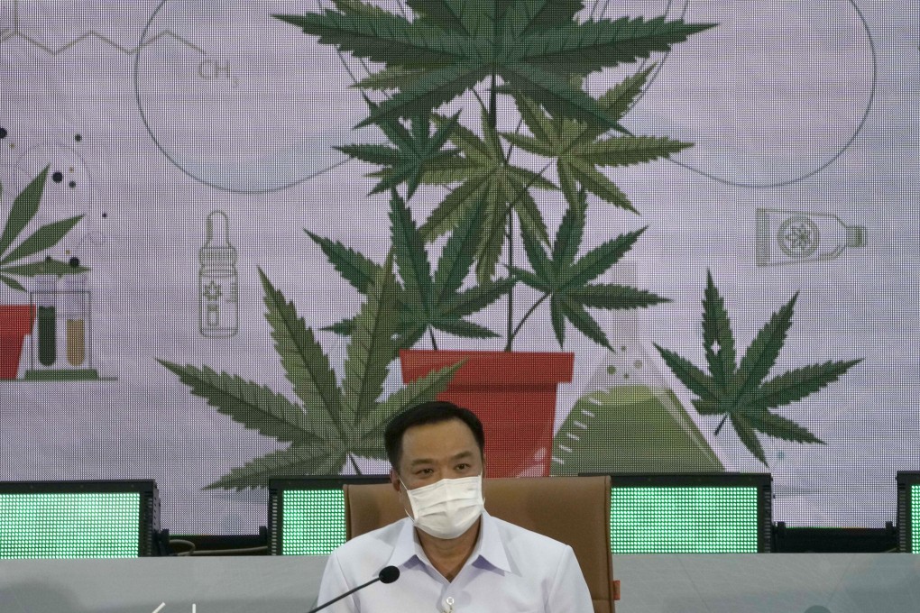 Thailand’s Public Health Minister Anutin Charnvirakul spearheaded the country’s drive to decriminalise cannabis. Photo: AP