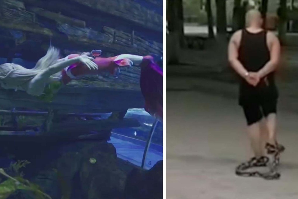 This week’s Quirky China news features an animal activist ‘mermaid’, a man in chains exercising in a park and a thief in the temple. Photo: Handout