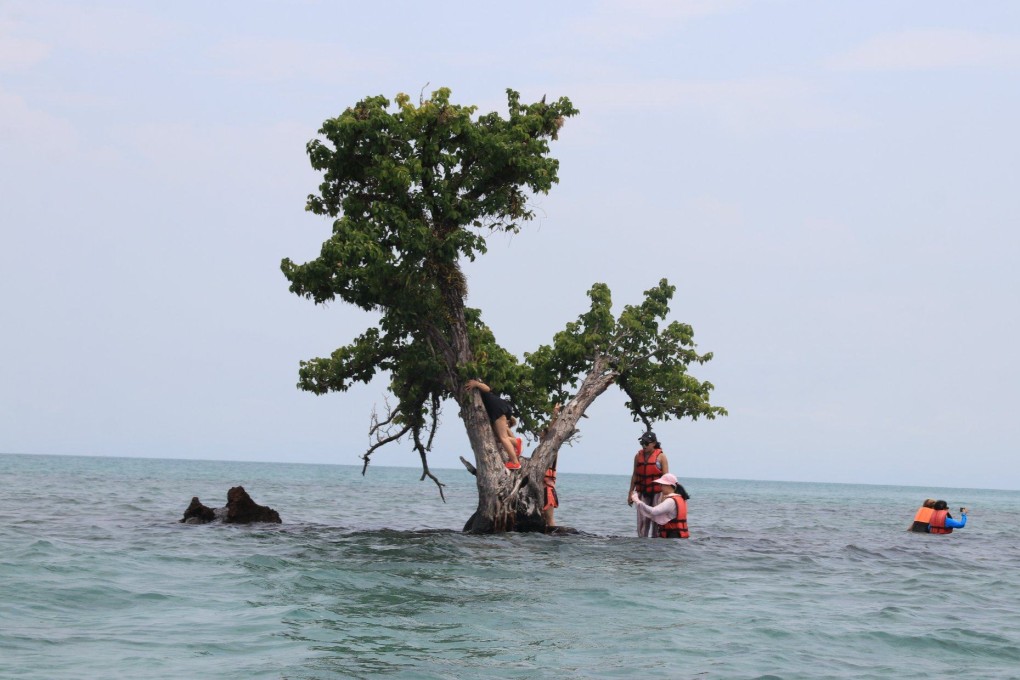 Tourists climb atop the solo tree on a remote islet off Thailand’s Trat province. Photo: Facebook/Tourism Authority of Thailand/Trat
