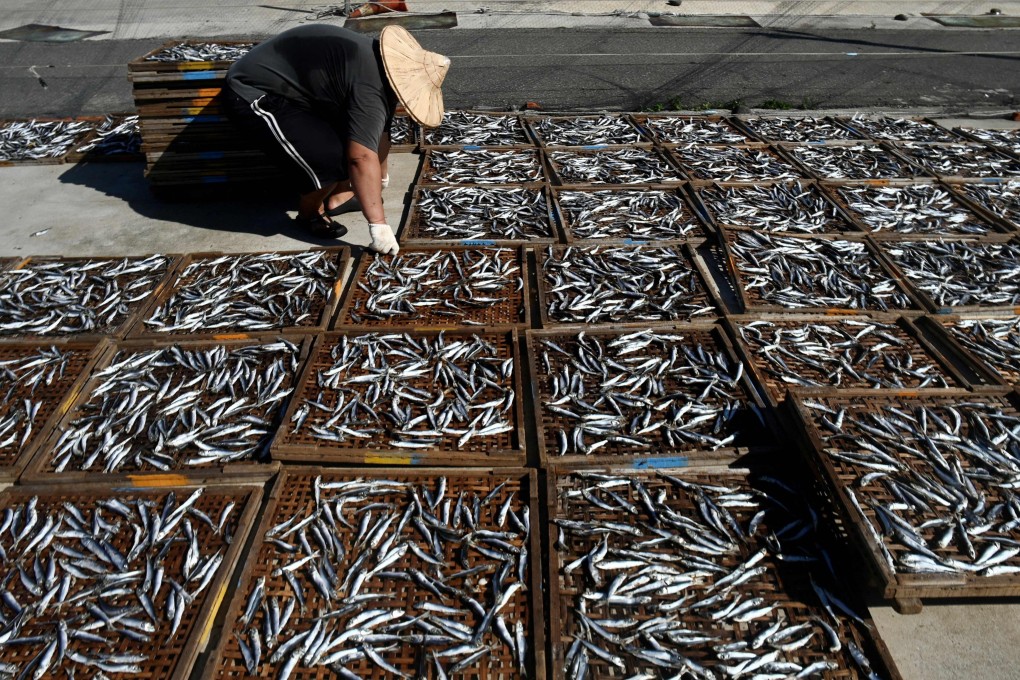 Drying fish near the town of Magong on Taiwan’s Penghu islands. Photo: AFP.