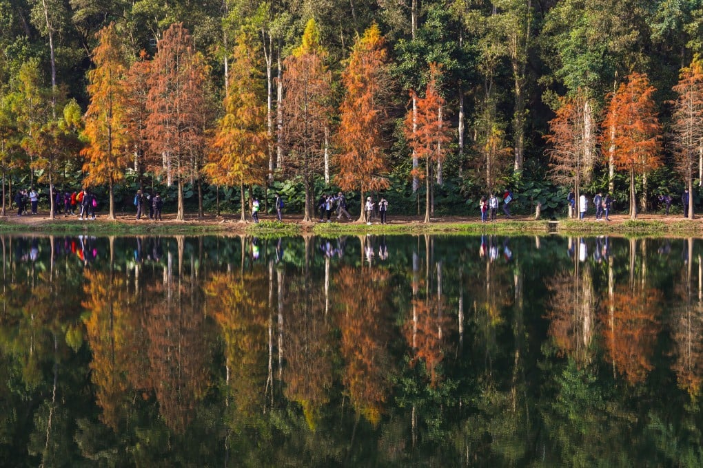 Hikers flock to Lau Shui Heung Reservoir on January 8 amid Omicron outbreaks in Hong Kong. Photo: Yik Yeung-man