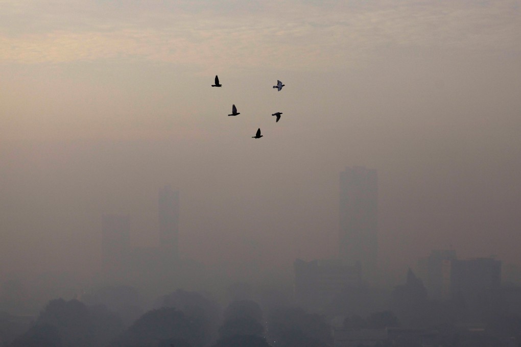 Birds flying on a smoggy morning in Jakarta, Indonesia, last month. Photo: Reuters