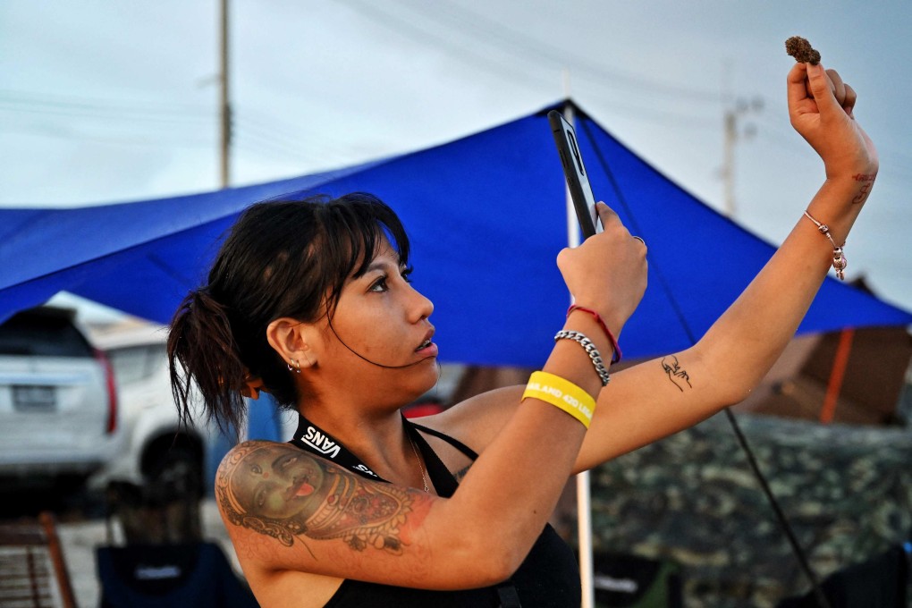 A woman takes a picture of a cannabis flower to celebrate its legalisation in Thailand earlier this month. Photo: AFP