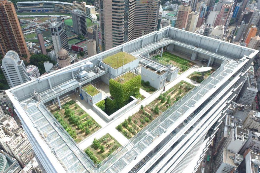 An aerial view of Hysan Place’s rooftop farm in Causeway Bay, Hong Kong. Photo: The University of Hong Kong Faculty of Architecture