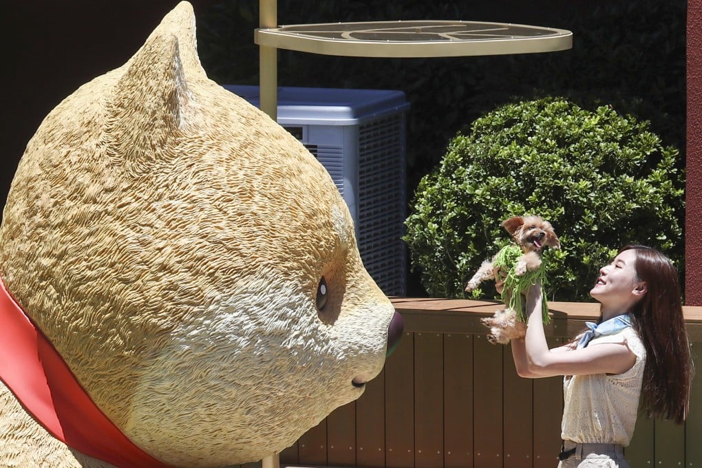A small dog meets a 3-metres high Shiba figure at New Town Plaza’s Pets Park in Sha Tin on June 23, 2022. Photo: SCMP / Jonathan Wong
