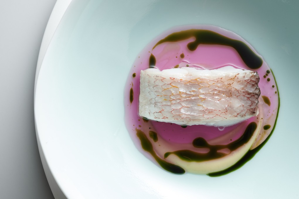 Tilefish. Photo: Mosu