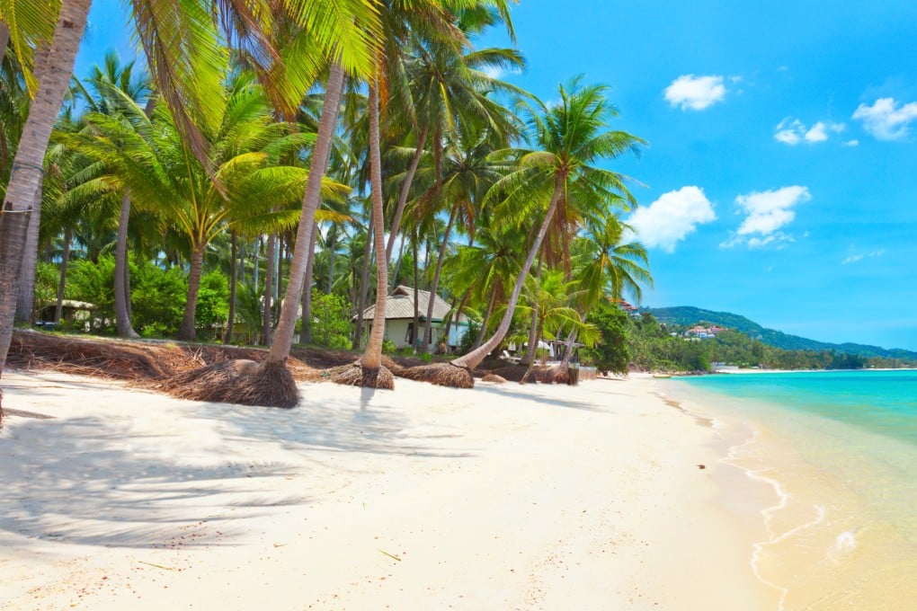 Business-leisure travellers are a subset of digital nomads, living and working abroad for longer than a typical holiday without taking up permanent residence in tropical locales like Thailand and Indonesia Photo: Shutterstock