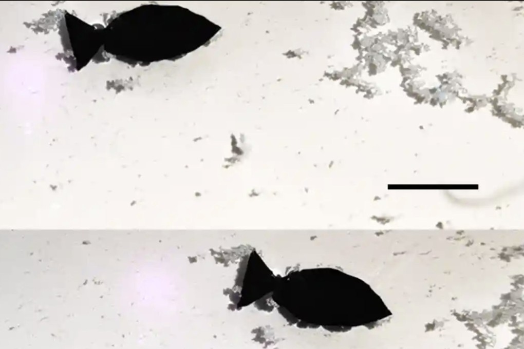 The self-propelled robot fish can “suck” microplastics out of the water, Chinese researchers say. Photo: Nano Letters