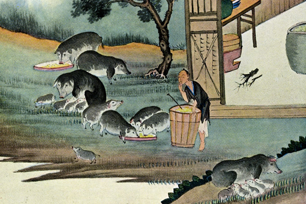 Detail from “He Sent Him into His Fields to Feed Swine”, an illustration from an 1899 magazine. There are 30 different Chinese characters for pigs, observes author Endymion Wilkinson. Photo:  Getty Images