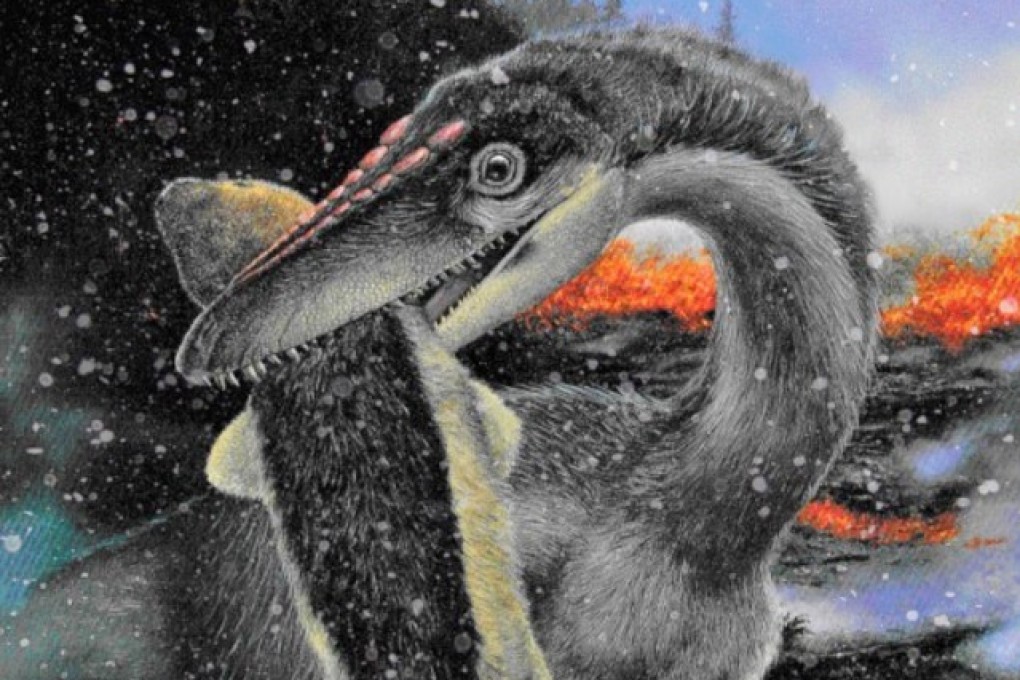 A primitively feathered theropod dinosaur carries off a mammalian victim during a snowy volcanic winter caused by massive eruptions during the Triassic-Jurassic Extinction. Illustration: Larry Felder