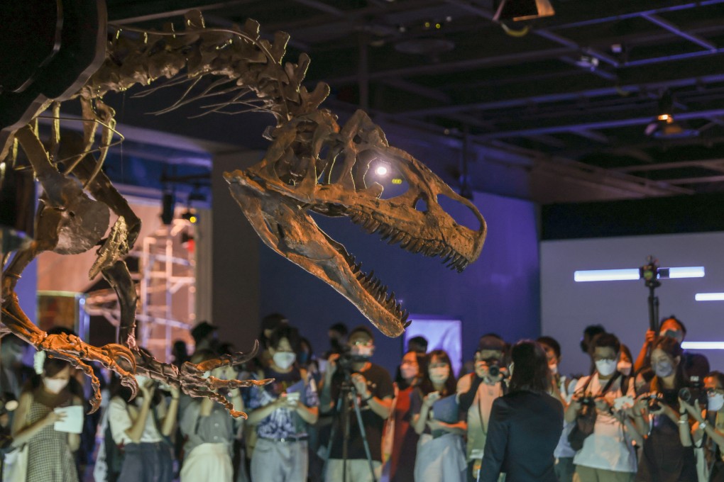 An allosaurus skeleton is on display at the Hong Kong Science Museum. Photo: Nora Tam