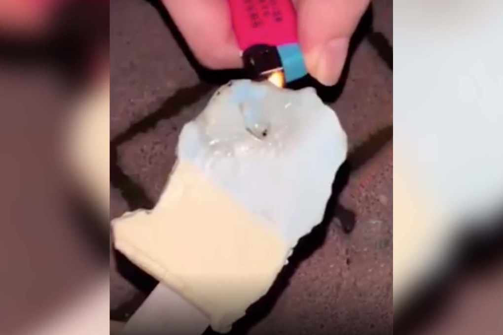Premium Chinese ice-cream bar that doesn’t melt even when set on fire prompts regulator to investigate. Photo: Handout