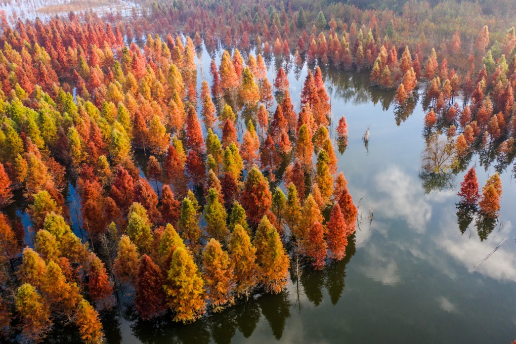 Yunnan province hosts some of China’s most important ecological sites. Photo: Xinhua