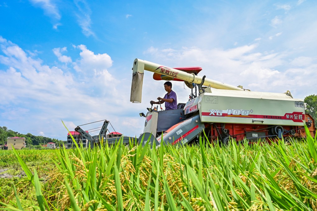 China, the largest rice grower, has warned of a higher incidence of pests and diseases in its crop this year, with some provinces reporting an almost 10 per cent increase in the area affected. Photo: Xinhua