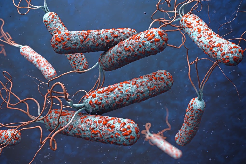 A dormitory has been sterilised and students tested for cholera after a case was confirmed at China’s Wuhan University. Photo: Shutterstock