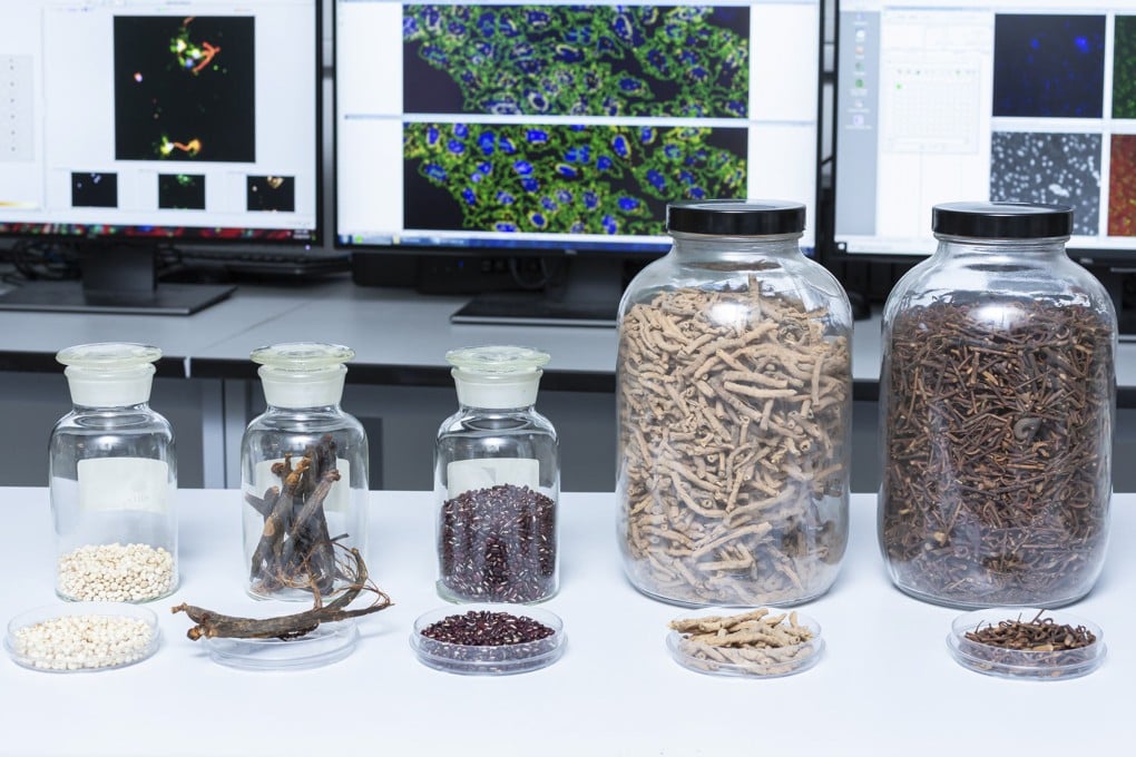 Researchers in Hong Kong have identified combinations of traditional Chinese medicine ingredients that slow brain ageing, suggesting they can help prevent dementia. Photo: The Hong Kong University of Science and Technology