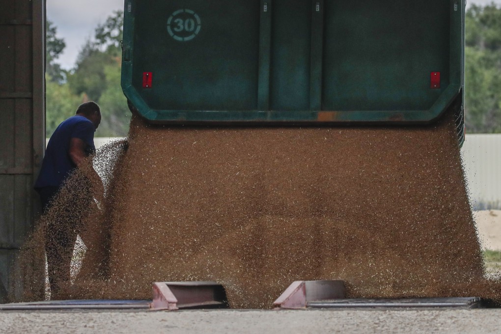 Wheat is unloaded from a truck on a farm in Ukraine’s Luhansk region, which Russia says it now fully controls. Photo: EPA-EFE