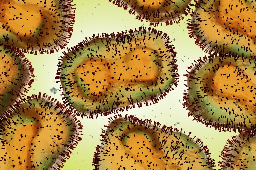 A 3D microbiology render of the monkeypox virus. The disease’s spread may be declared a global emergency by the WHO. Photo: Shutterstock