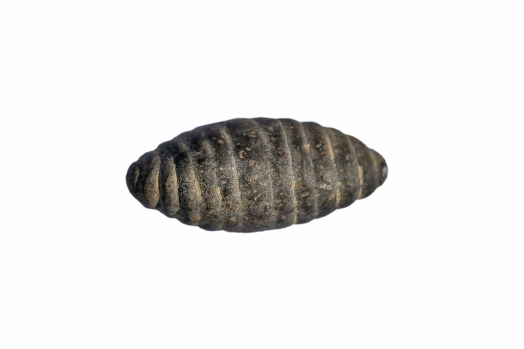 This is believed to be a 5,200-year-old stone carving of a silkworm cocoon. Photo: Provincial archaeology institute of Shanxi