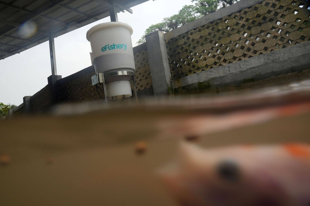 A fish eats a food pellet spat out by a robotic dispenser made by Indonesian start-up eFishery, a recipient of Temasek’s funding. Photo: Bloomberg