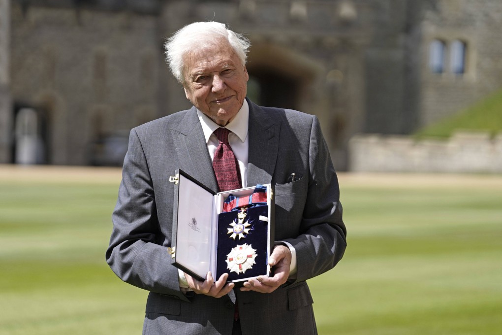 David Attenborough at Windsor Castle, England after being appointed a Knight Grand Cross of the Order of St Michael and St George on June 8. Photo: Pool via AP