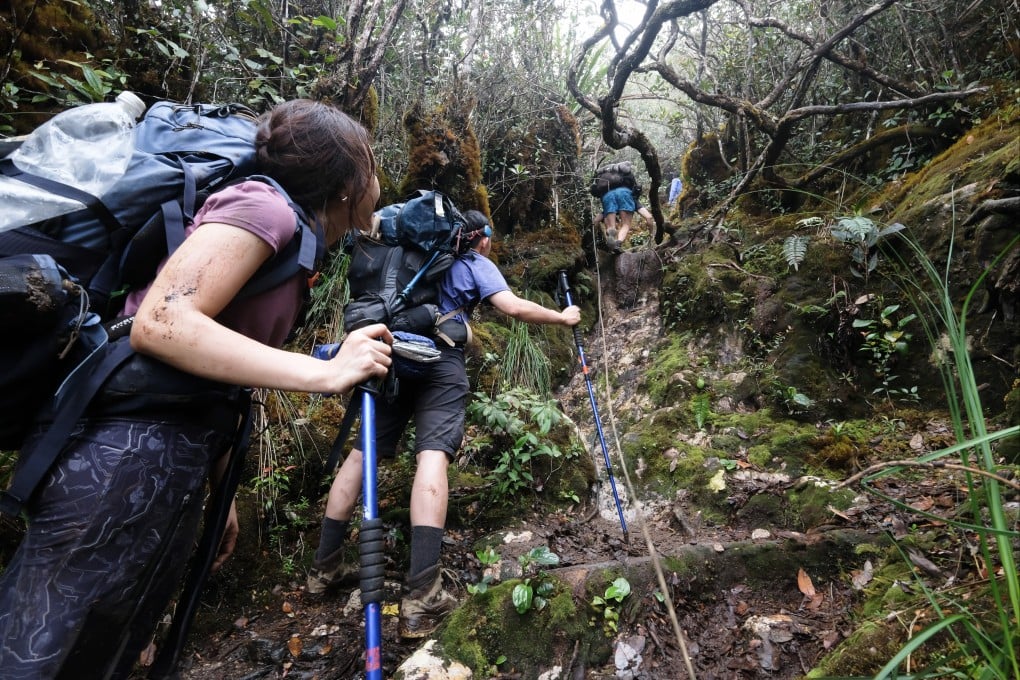 Malaysia is home to some of the oldest rainforest on earth - the last natural home of the Malay tiger and habitat for wild animals such as the Asian elephant. Trekking though this unspoilt jungle makes for the journey of a lifetime. Photo: Chan Kit-yeng