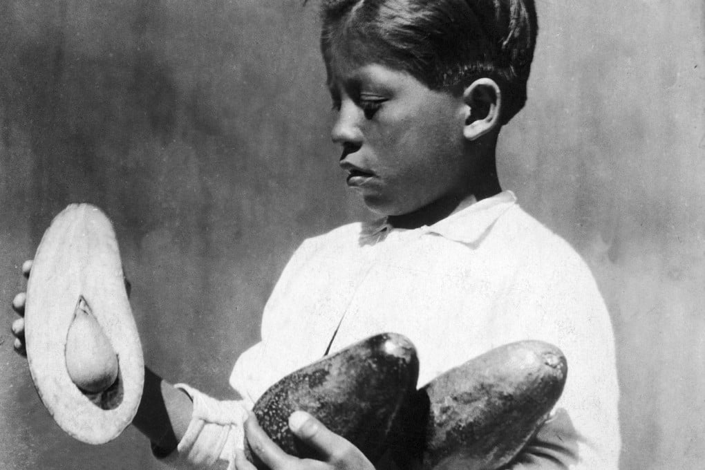 Avocados are grown around the world but their etymological origins are with Central America and the Aztecs. Photo: Getty Images