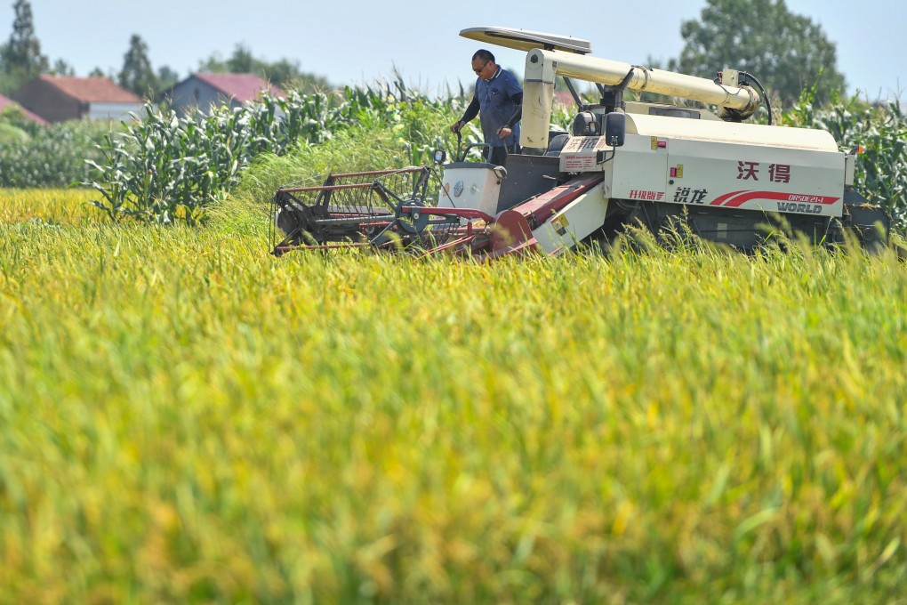 A farmer drives a harvester in a paddy field in Chengtoushan village in central China’s Hunan province. Photo: Xinhua
